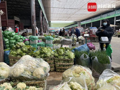 成都農產品中心批發市場 蔬菜肉類供應充足，部分區域實行限時交易