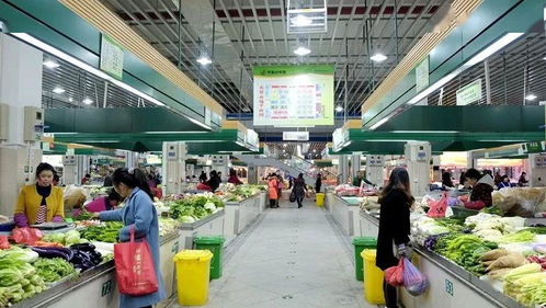 路橋食光 共享美味，打造農產品批發新生態